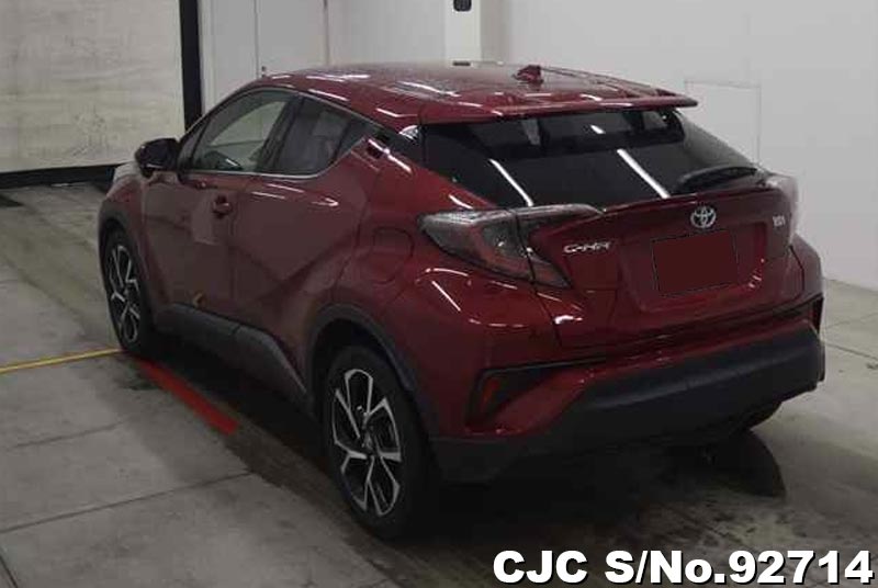 Toyota C-HR in Wine for Sale Image 1